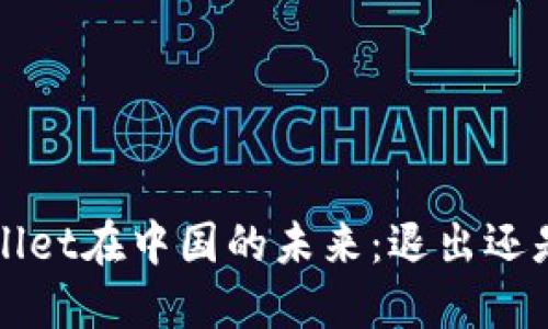  TPWallet在中国的未来：退出还是扩展？