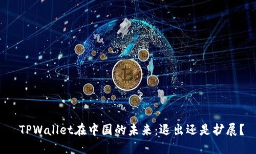  TPWallet在中国的未来：退出还是扩展？