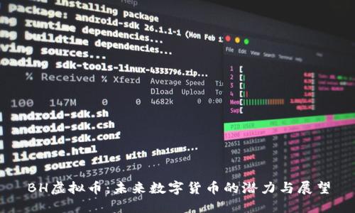 BH虚拟币：未来数字货币的潜力与展望