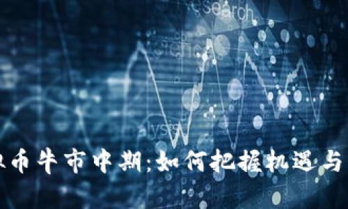 虚拟币牛市中期：如何把握机遇与风险