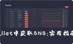 如何在TPWallet中获取BNB：实