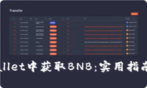 如何在TPWallet中获取BNB：实用指南与潜在问题