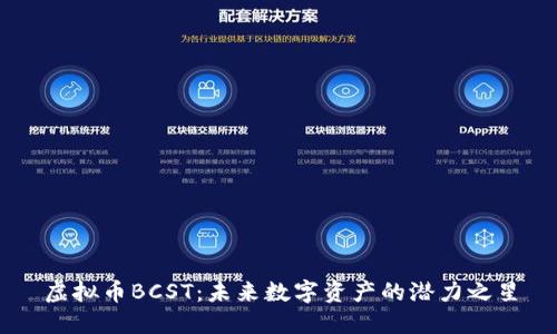 虚拟币BCST：未来数字资产的潜力之星