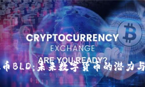 虚拟币BLD：未来数字货币的潜力与前景