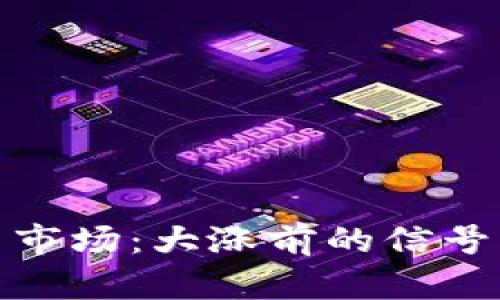 探索虚拟币市场：大涨前的信号与典型特征