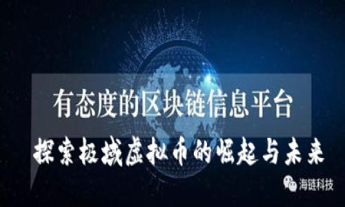  探索极域虚拟币的崛起与未来