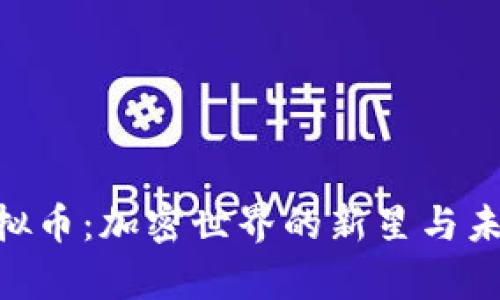 探索NBC虚拟币：加密世界的新星与未来发展前景