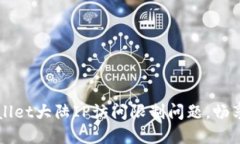 如何解决TPWallet大陆IP访问