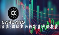 虚拟币中间交易：揭秘新