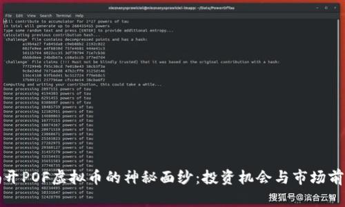 揭开POF虚拟币的神秘面纱：投资机会与市场前景