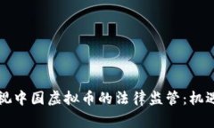 重新审视中国虚拟币的法