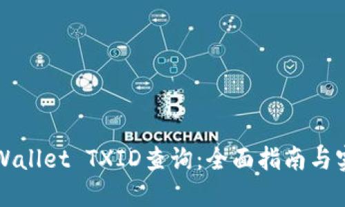 精通TPWallet TXID查询：全面指南与实用技巧