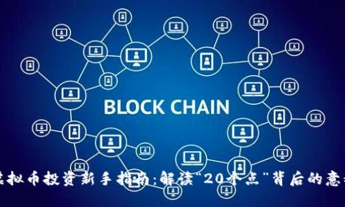 虚拟币投资新手指南：解读“20个点”背后的意义