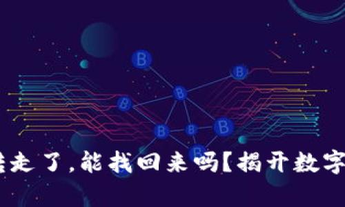  TPWalletu被转走了，能找回来吗？揭开数字资产安全的真相